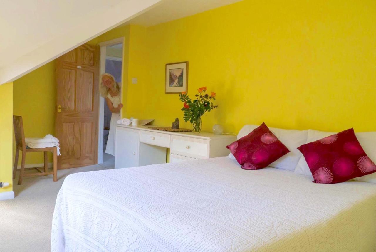 Healing Waters Sanctuary For Exclusive Private Hire And Self Catering Board, Vegetarian, Alcohol & Wifi Free Retreat In 格拉斯顿伯里 外观 照片