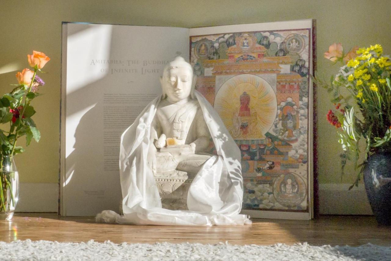 Healing Waters Sanctuary For Exclusive Private Hire And Self Catering Board, Vegetarian, Alcohol & Wifi Free Retreat In 格拉斯顿伯里 外观 照片