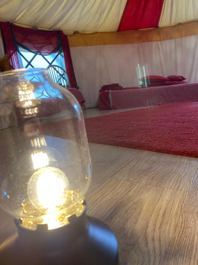 Healing Waters Sanctuary For Exclusive Private Hire And Self Catering Board, Vegetarian, Alcohol & Wifi Free Retreat In 格拉斯顿伯里 外观 照片