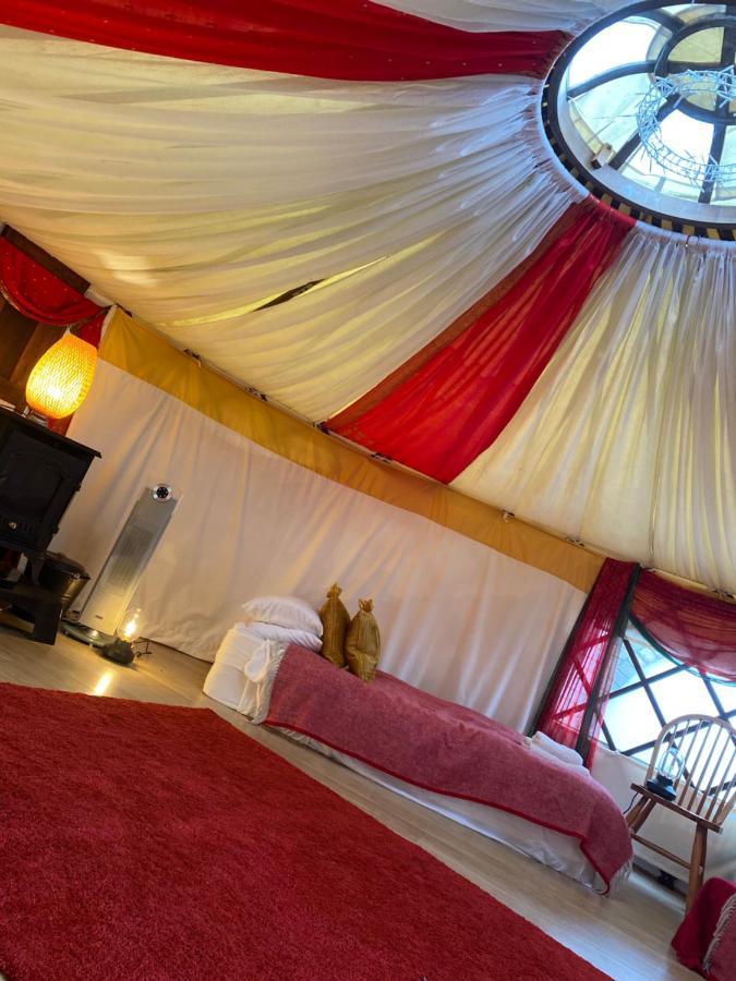 Healing Waters Sanctuary For Exclusive Private Hire And Self Catering Board, Vegetarian, Alcohol & Wifi Free Retreat In 格拉斯顿伯里 外观 照片