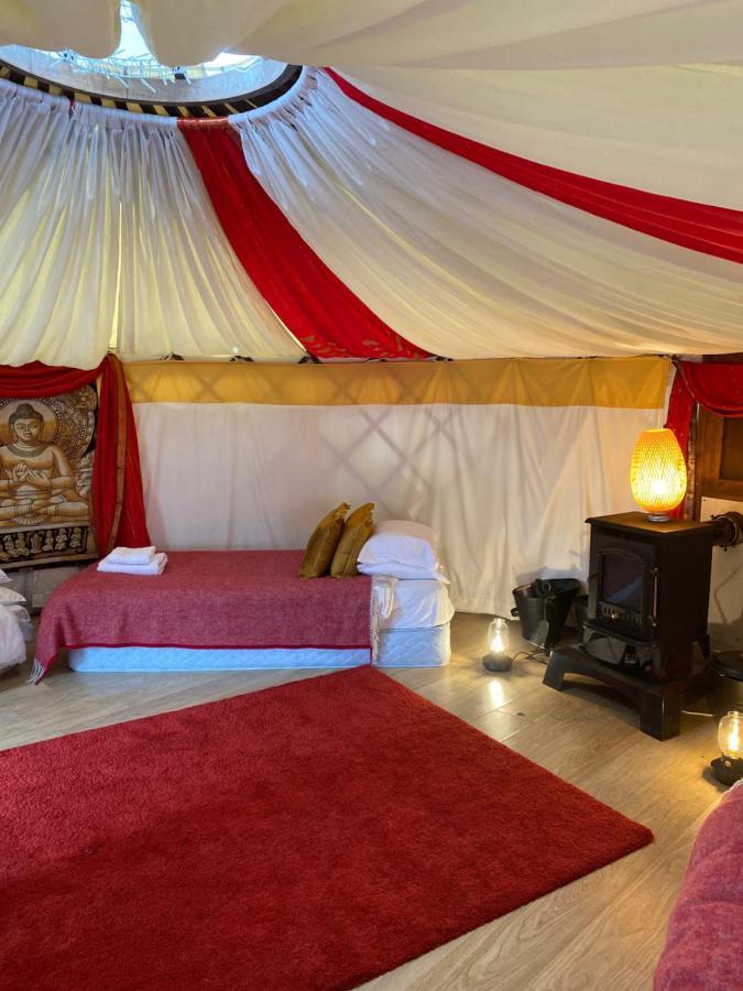 Healing Waters Sanctuary For Exclusive Private Hire And Self Catering Board, Vegetarian, Alcohol & Wifi Free Retreat In 格拉斯顿伯里 外观 照片