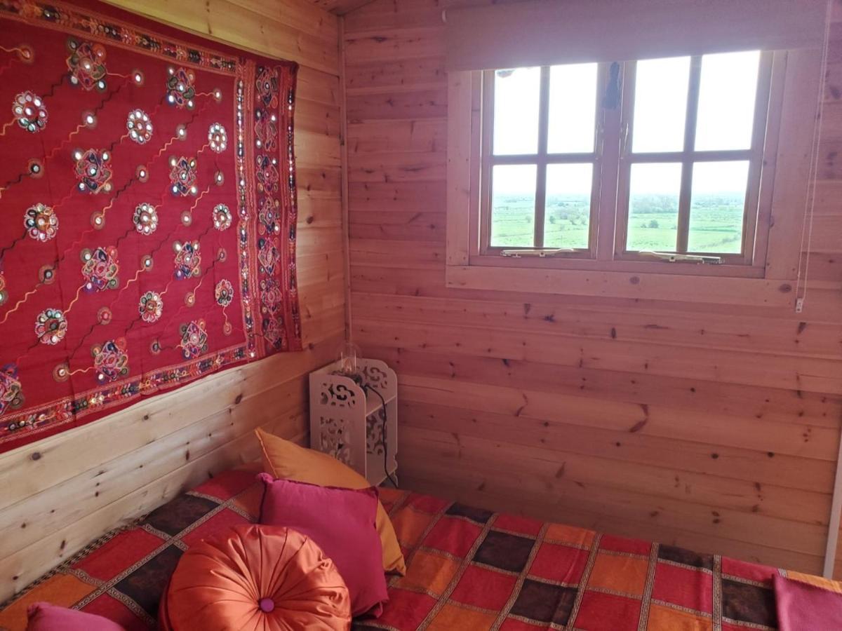 Healing Waters Sanctuary For Exclusive Private Hire And Self Catering Board, Vegetarian, Alcohol & Wifi Free Retreat In 格拉斯顿伯里 外观 照片